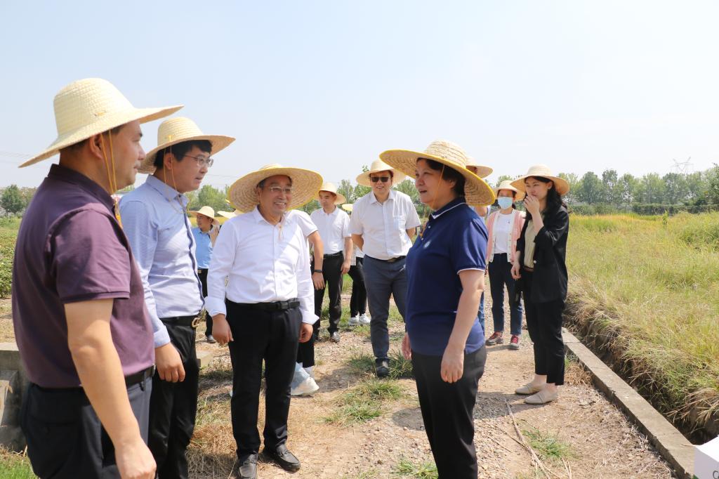 信德新材：接受东吴基金等机构调研