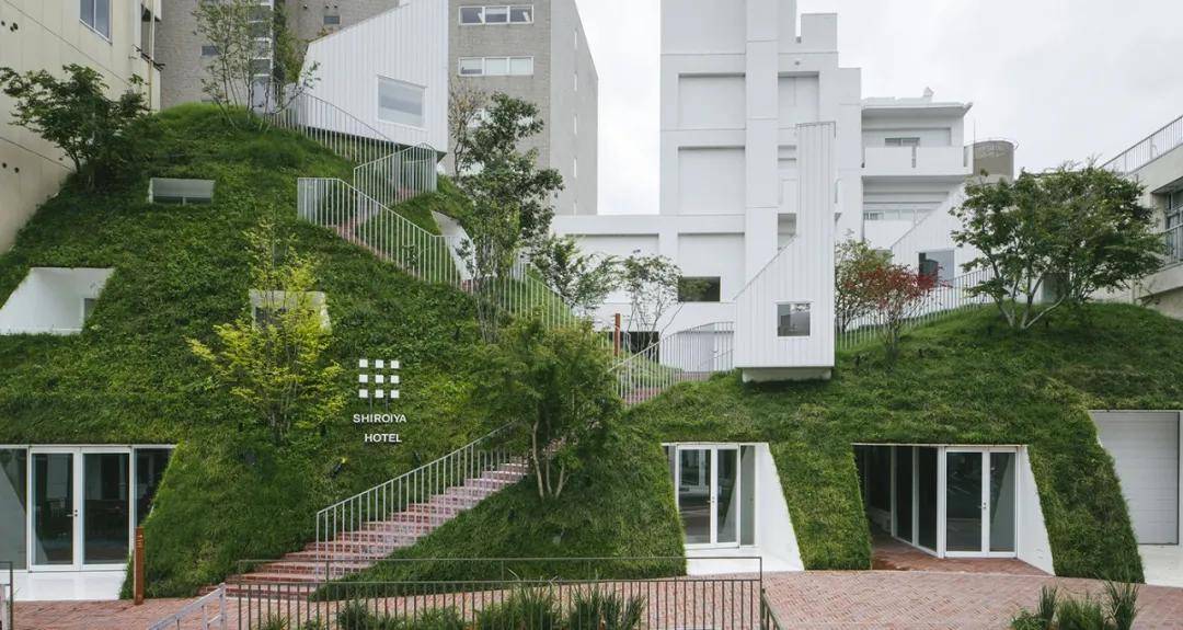 安永白皮书：绿色税制建设仍有空间，建议健全基础性绿色税种