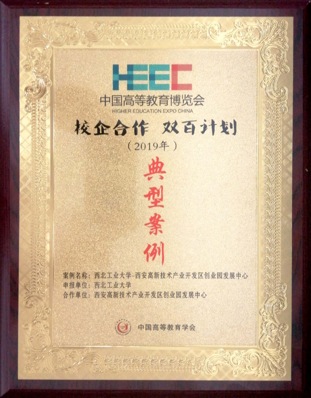 SHEIN2025校园招聘开启 专属计划+校企合作培养新人