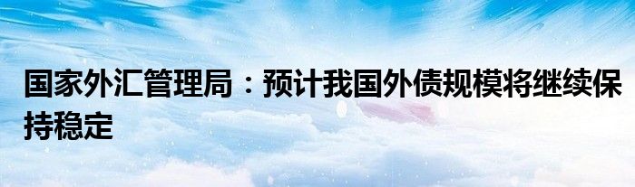 2024年前7个月罗外债增长超100亿欧元