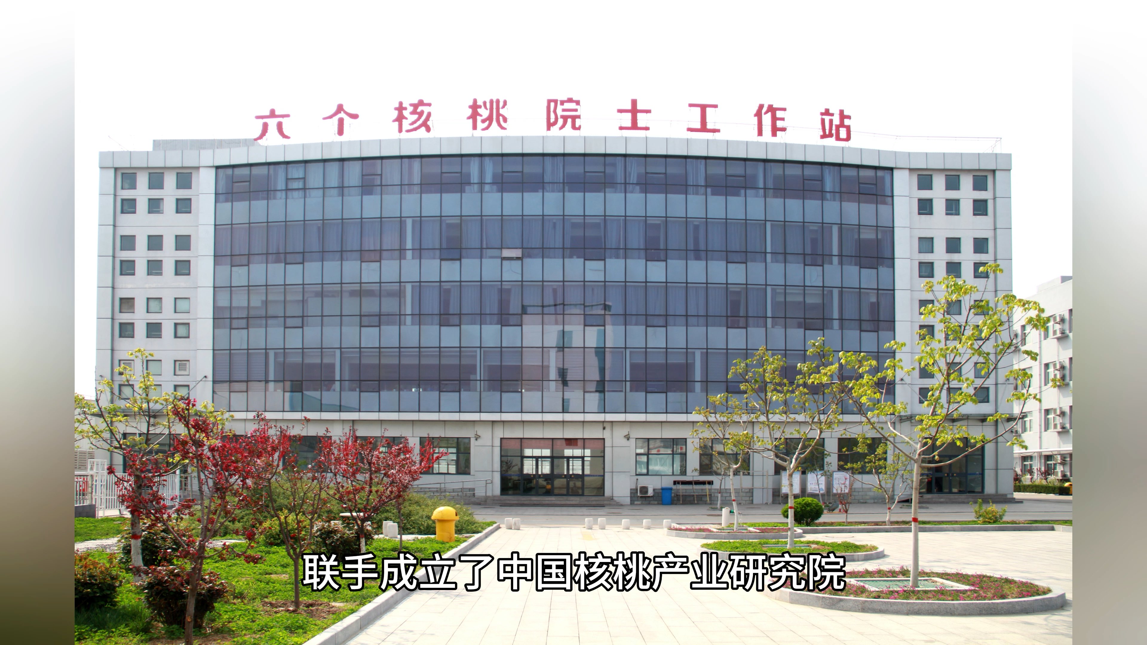“六个核桃”难卖，投资回报惨淡，养元饮品如何挽救业绩增长疲态？