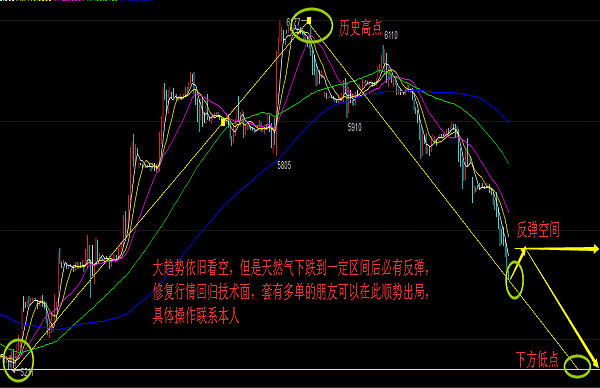 黑天鹅突袭!影响有多大?
