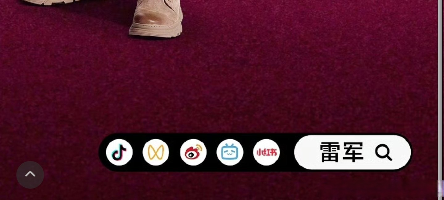 雷军：绝对不能容忍任何诋毁诅咒车主的KOL