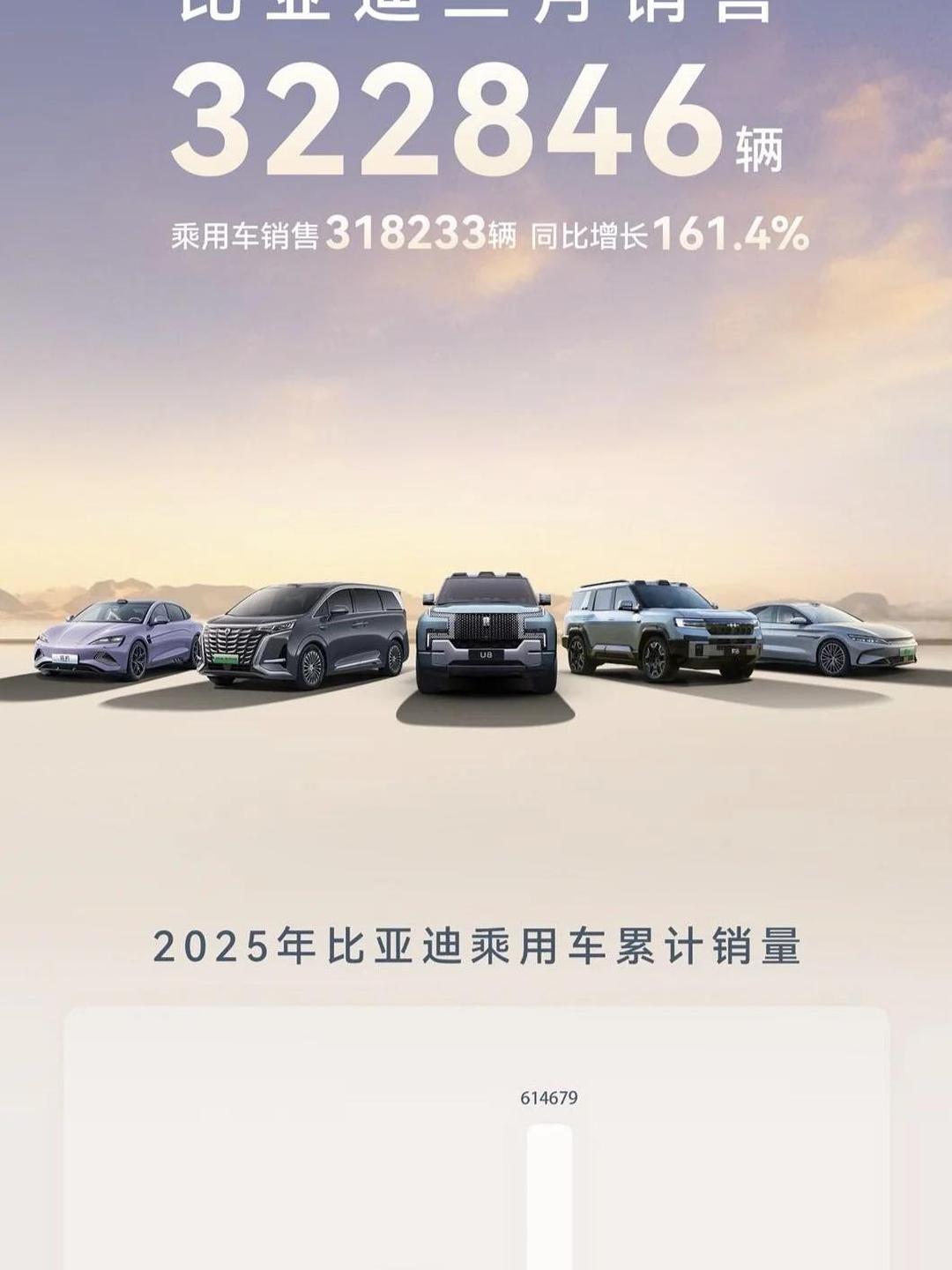 比亚迪全年纯电动汽车销量首次超过特斯拉成为全球第一