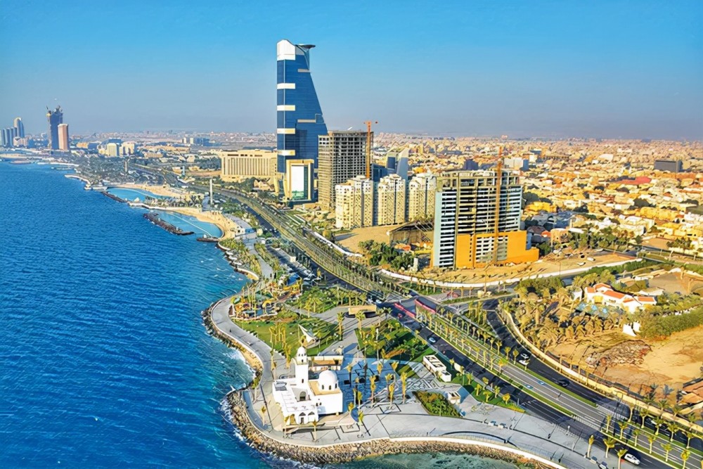 沙特2025年前9个月牛奶及乳制品出口39亿沙特里亚尔