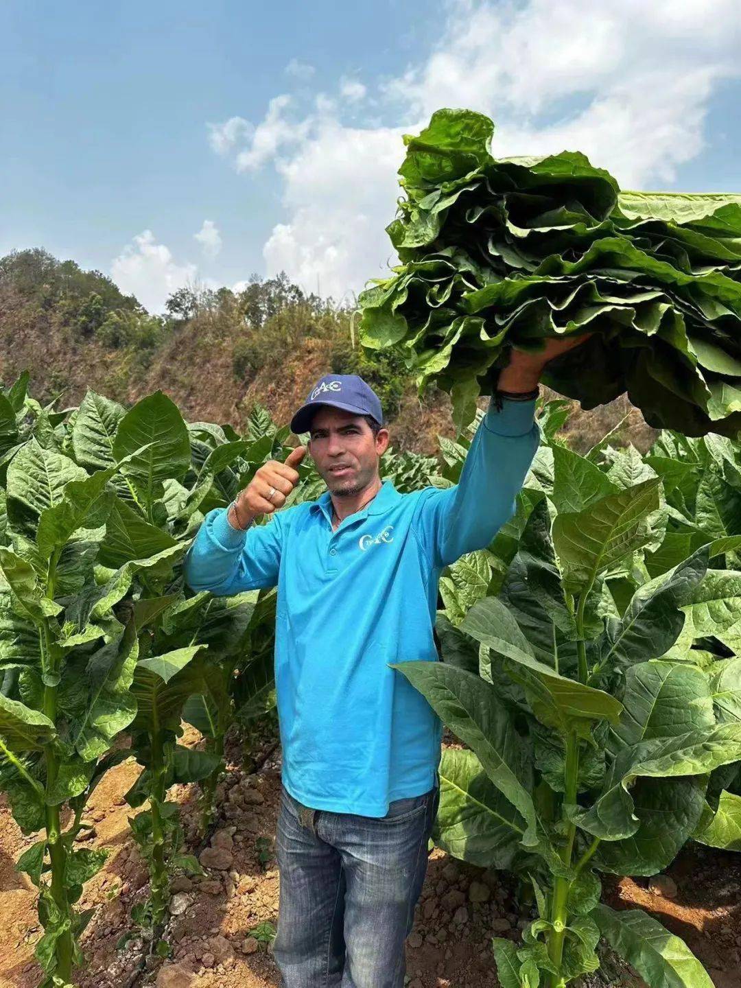 2026年古巴投资聚焦三大优先领域