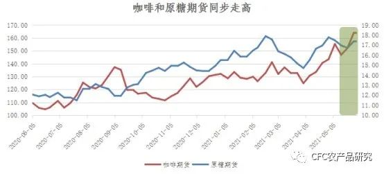 2025年巴西咖啡价格上涨，销量下降