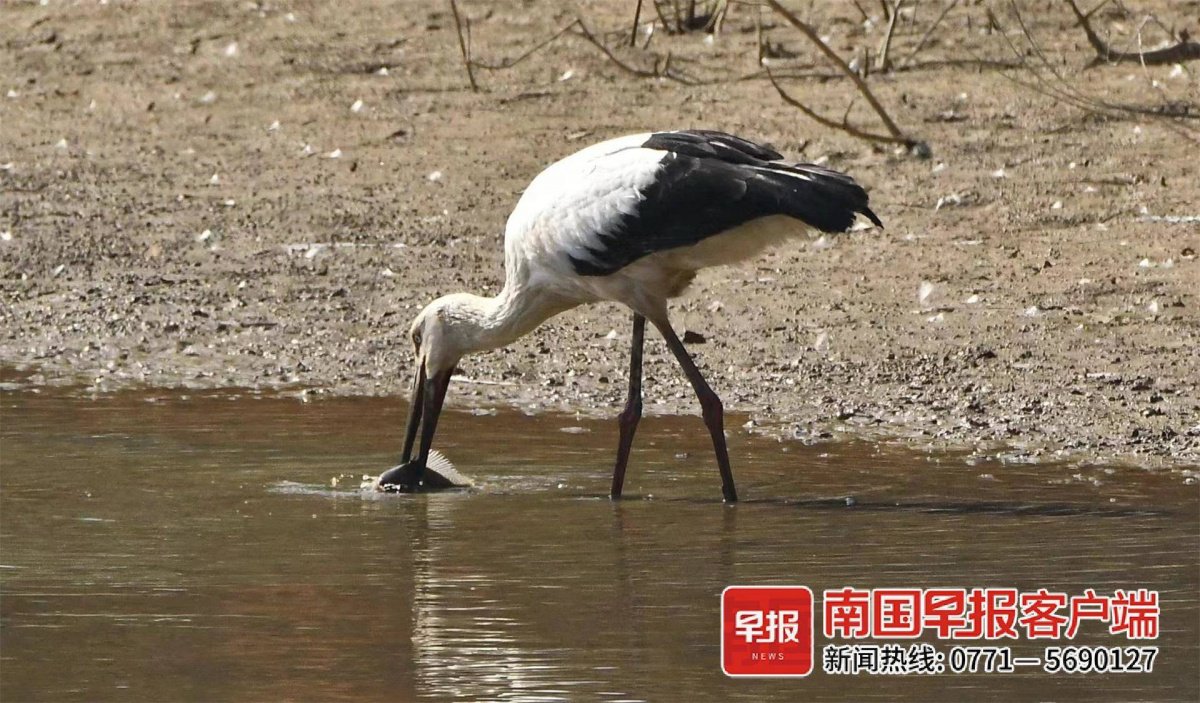 立方风控鸟·早报（3月14日）