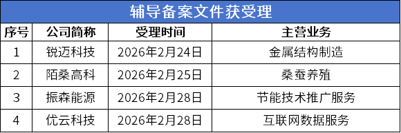 视涯科技公布网上发行中签率