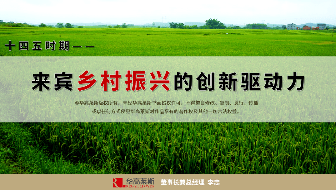 世纪互联2025年总营收达99.5亿元 基地型业务成重要增长驱动力