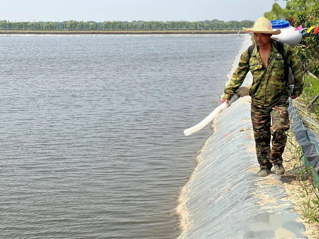 “养龙虾”热潮之下，如何守好安全底线？