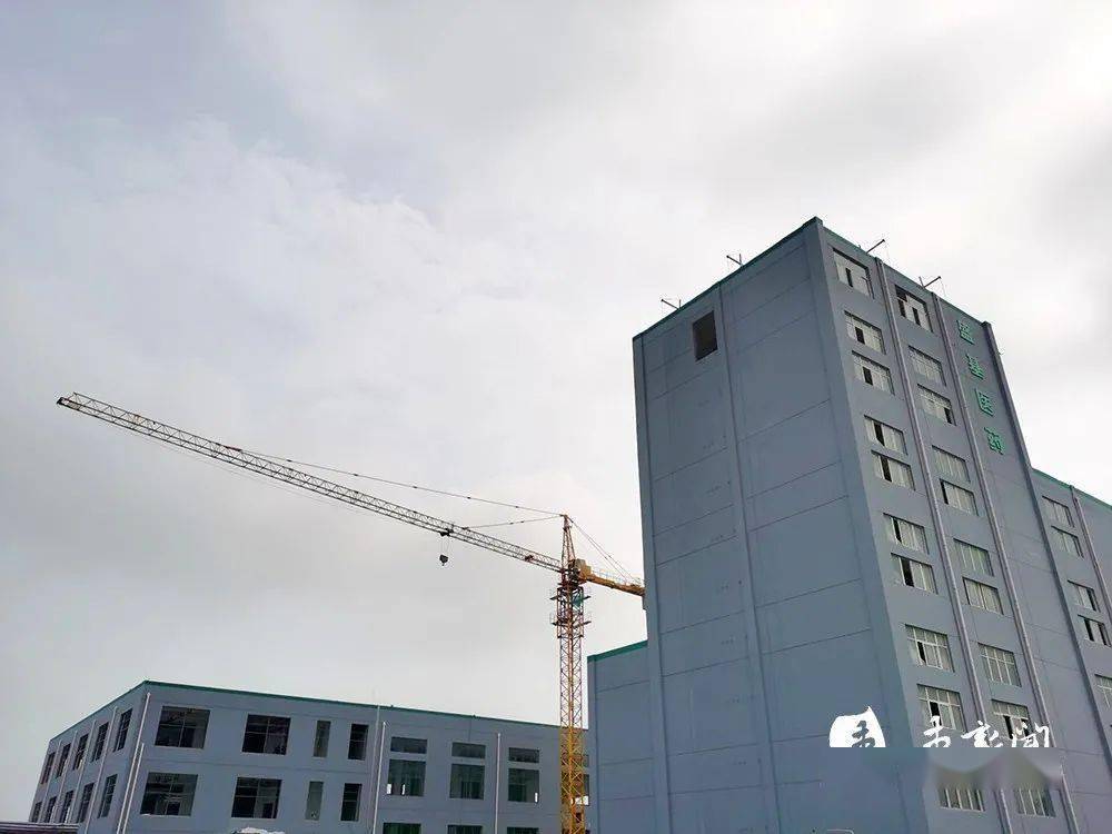 濮阳盛基控股集团拟发行7.5亿元公司债，获上交所受理