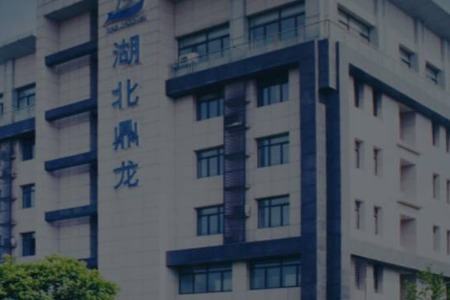 鼎龙股份：年产300吨KrF/ArF光刻胶产业化项目投产