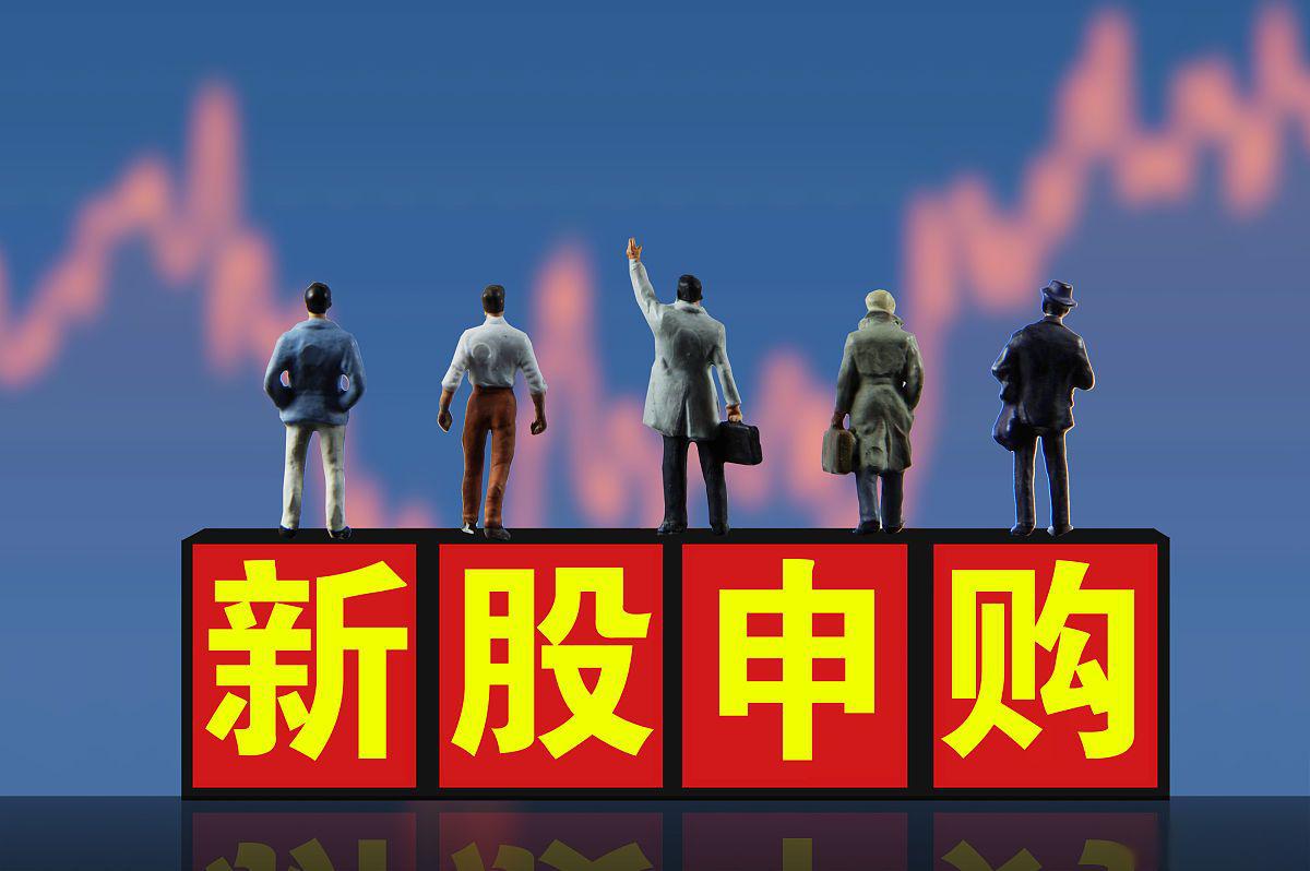 年内累计发行30只新股，共募资255.60亿元