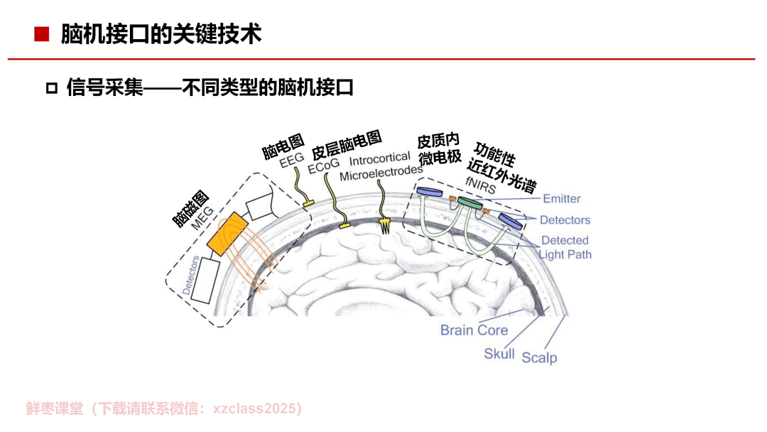 畅通脑机接口产业化之路