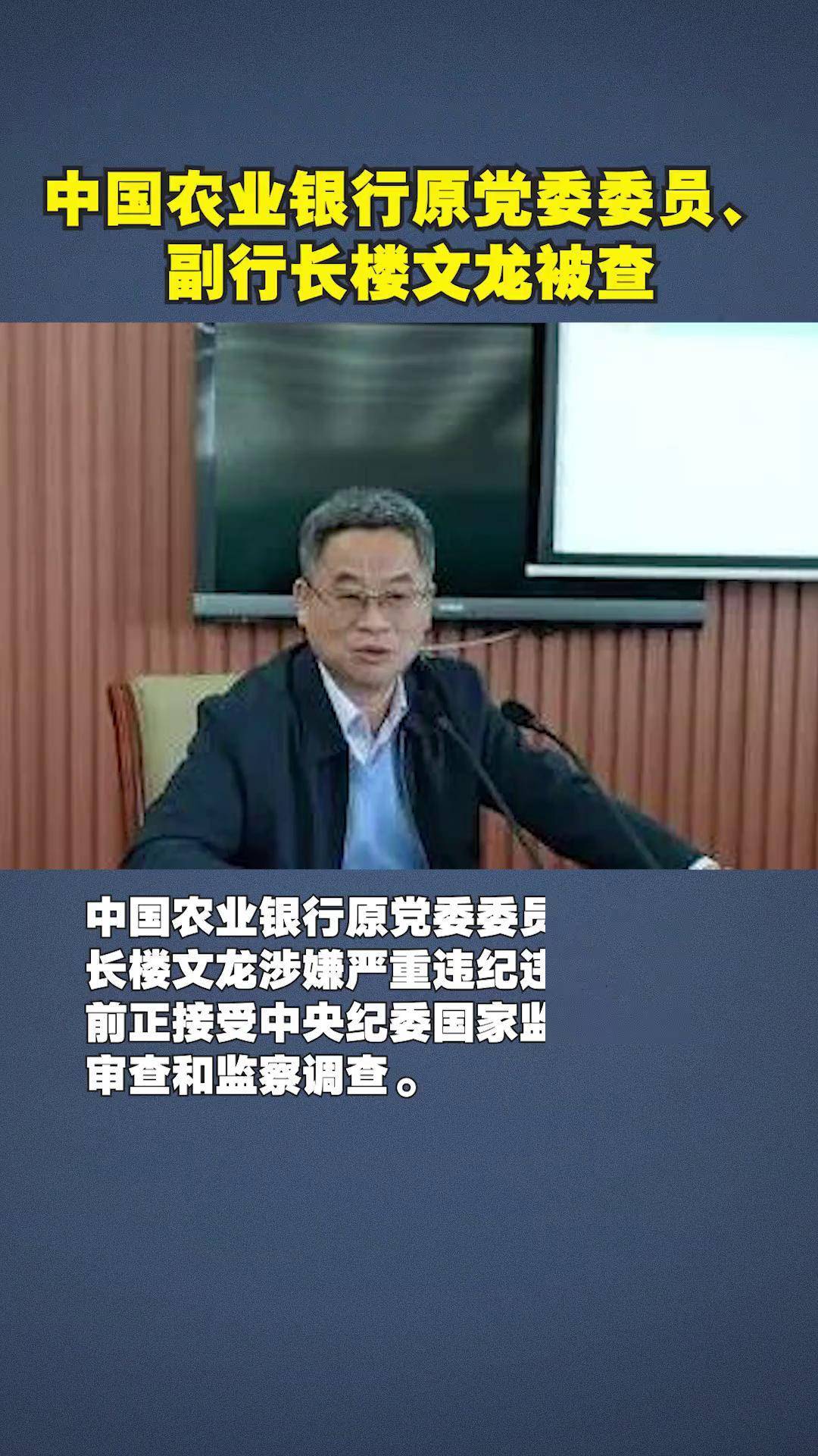 农业银行副行长林立：预估今年债券市场呈现震荡调整行情
