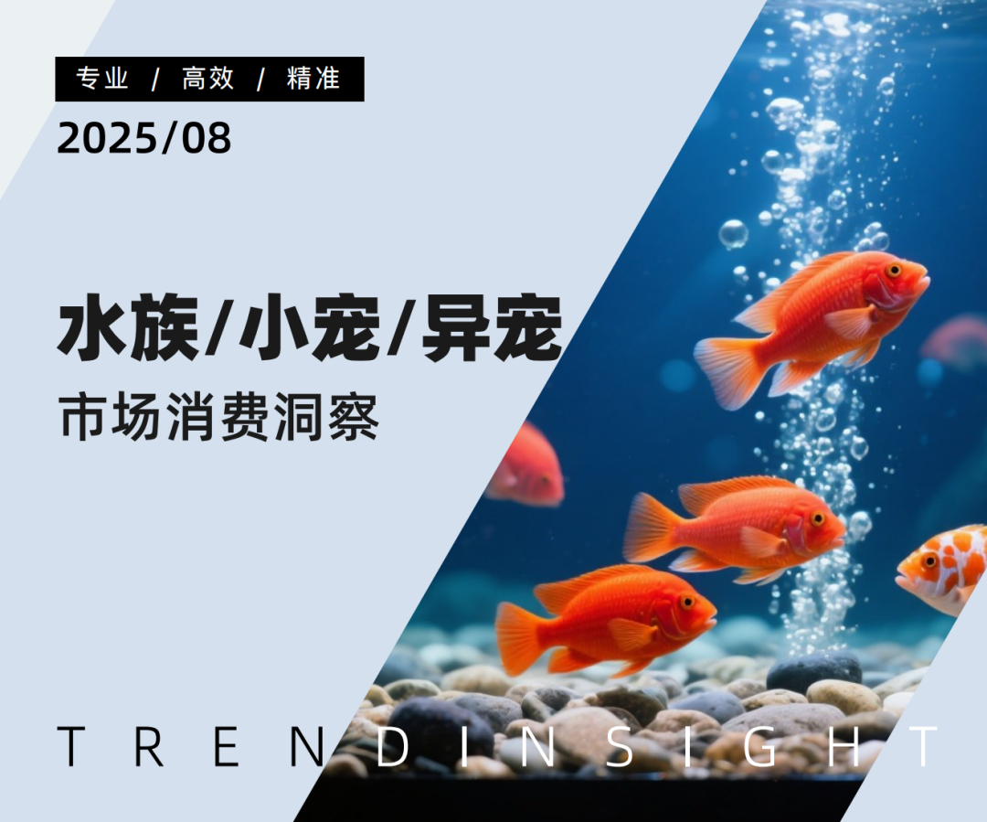 异宠医疗：从小众走向“潜力股”