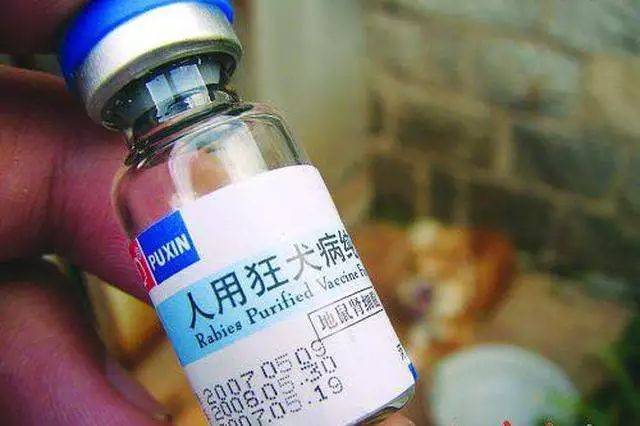 成大生物冻干人用狂犬病疫苗（Vero细胞）药品补充申请获批，丰富公司产品免疫程序体系