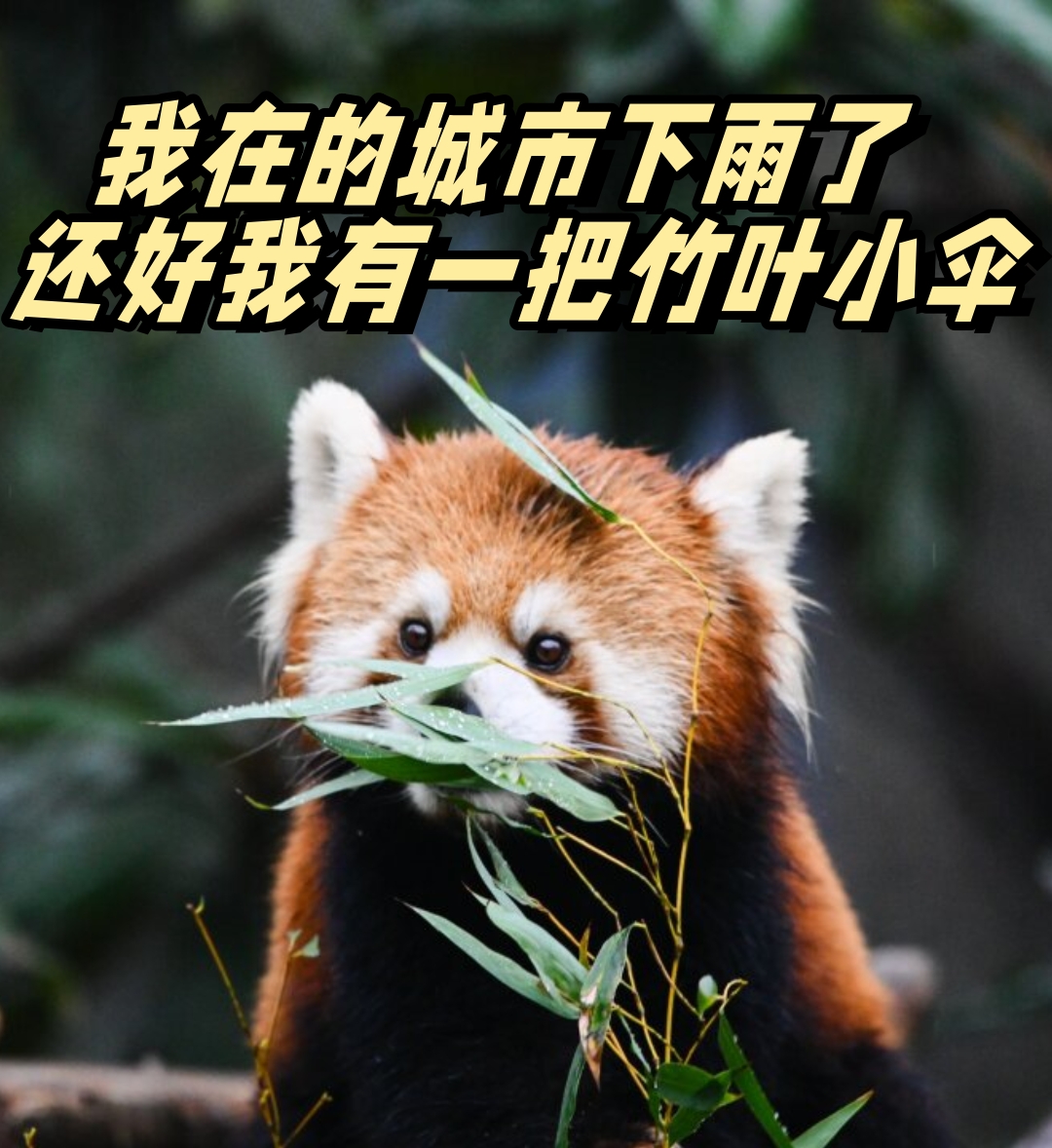 外贸商的淡定与忧愁