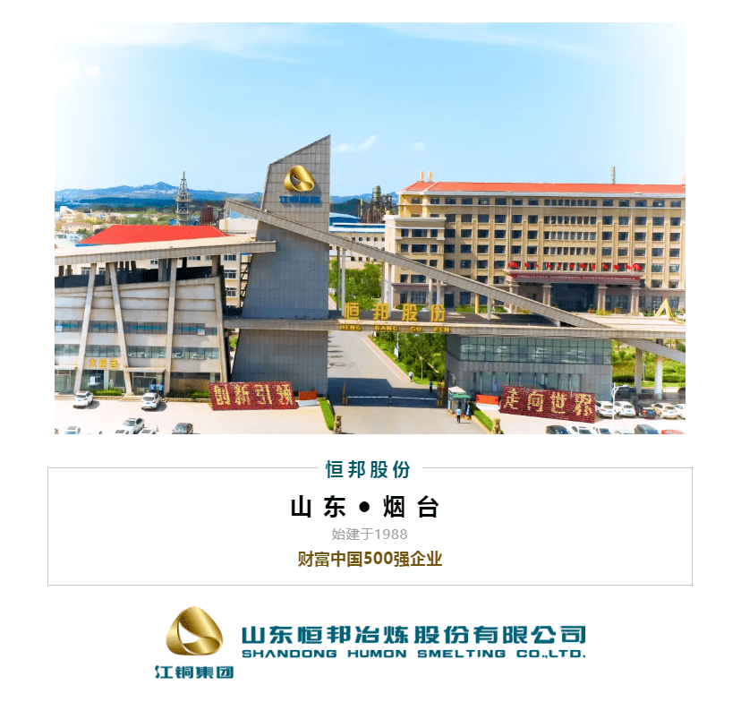 宇新股份4月20日龙虎榜数据
