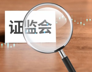 主动给董秘“减负”！《董秘监管规则》正式发布，多家A股公司踩点合规！