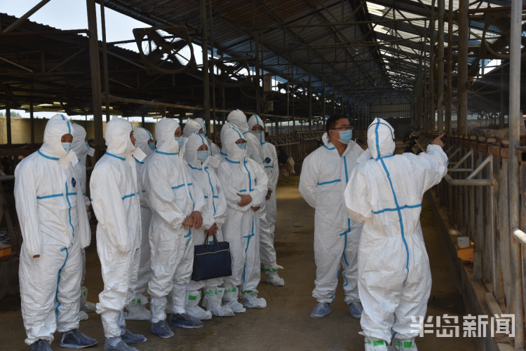 科农业部长布鲁诺?科内呼吁法语国家投资科特迪瓦农业
