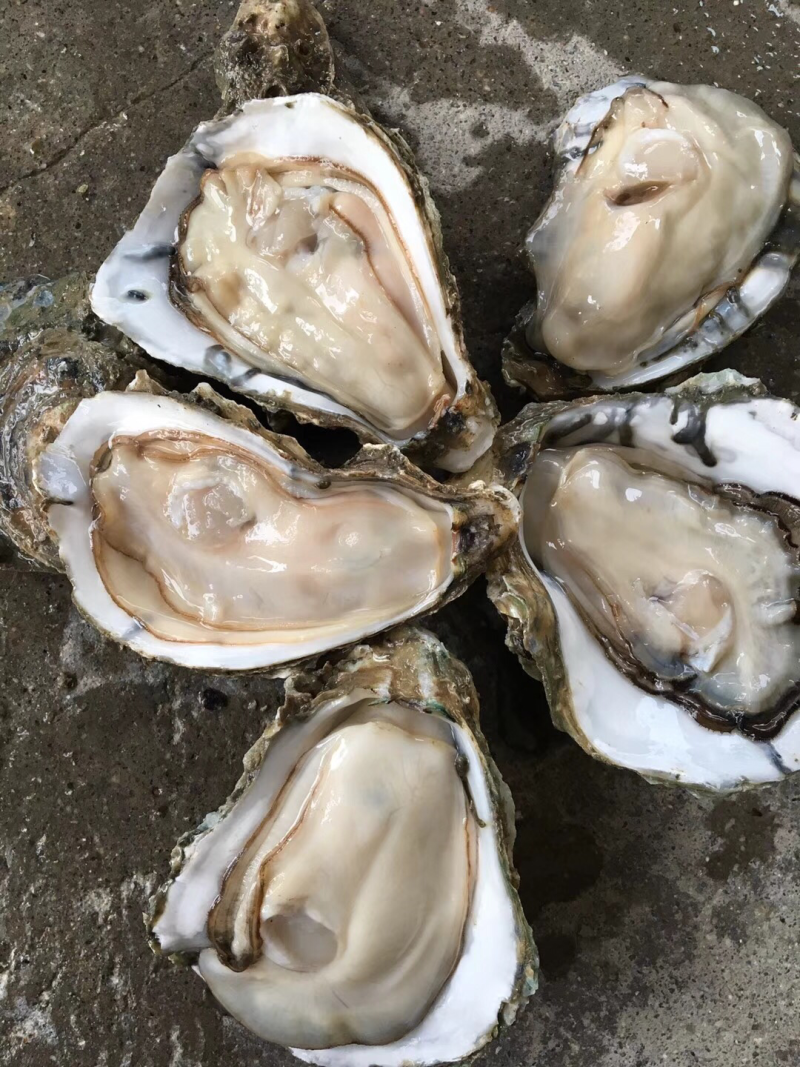 粤海饲料去年业绩“扭亏”背后：盈利主要靠减值收窄，主业疲软与坏账风险未解