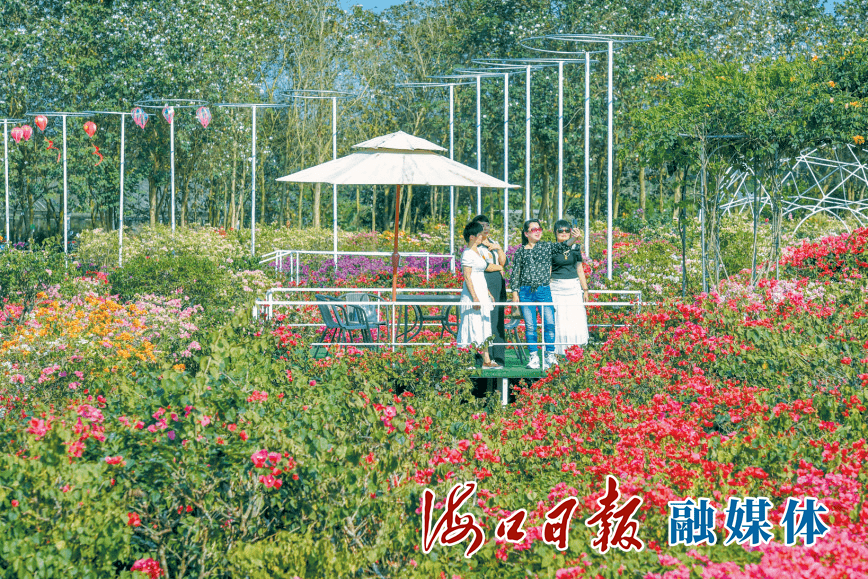 中国联通护航梨花节 满格信号赋能“赏花经济”