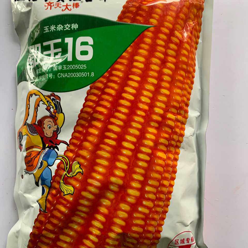 玉米概念下跌0.37%，主力资金净流出16股