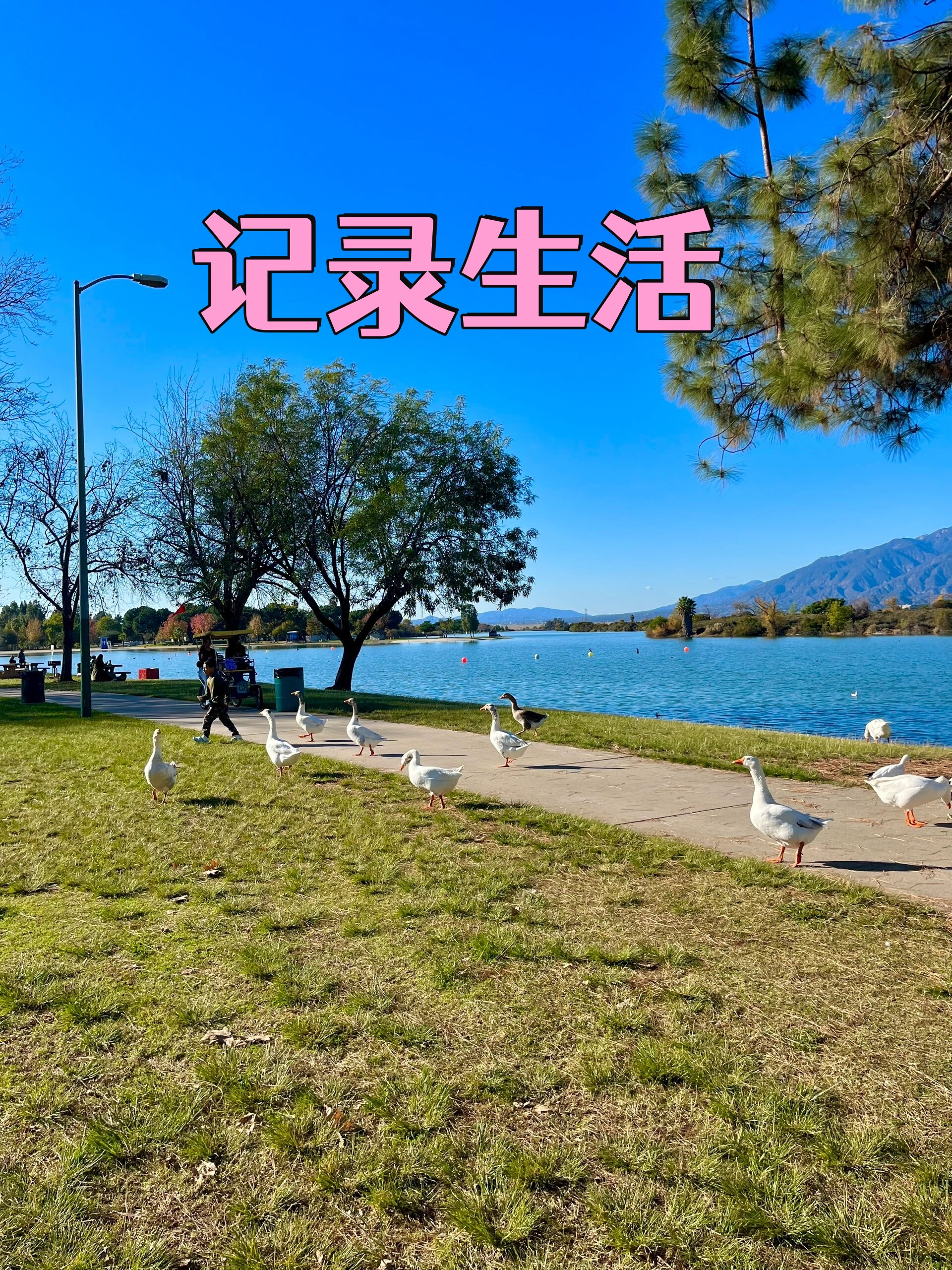 VC/PE迎来收获！胜在无人问津处提前卡位、在漫长周期中坚持陪跑｜解码A股“科技叙事”